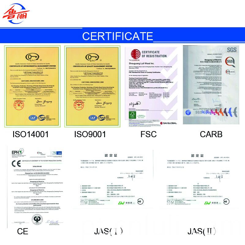 Certificado Certificate
